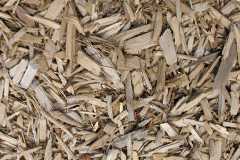 biomass boilers Liston